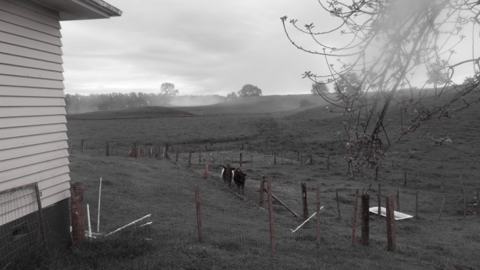 33 Waotu Road, Putaruru, South Waikato, Waikato, New Zealand