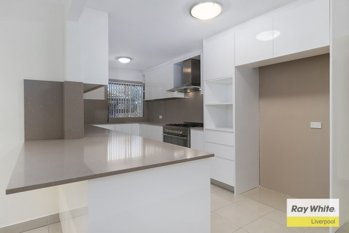 15 Wendouree Street, Busby, NSW 2168, Australia