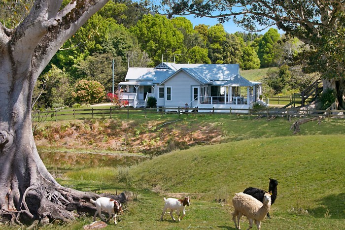 1874 Kyogle Road, Uki, NSW 2484, Australia