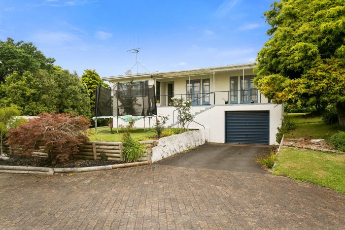 65 Elizabeth Avenue, Te Awamutu, Waipa, Waikato, 3800, New Zealand