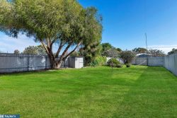 11 Loftis Road Elizabeth Downs SA 5113 Australia