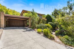 6 Stanfield Ct, Glen Waverley VIC 3150, Australia