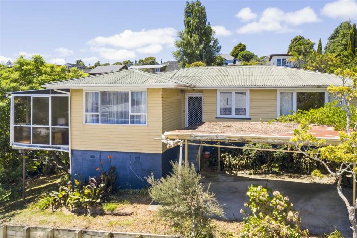 20 Peter Buck Road, New Windsor, Auckland City, Auckland, 0600, New Zealand