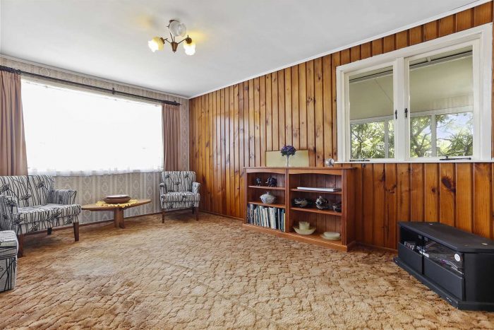 20 Peter Buck Road, New Windsor, Auckland City, Auckland, 0600, New Zealand