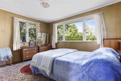 20 Peter Buck Road, New Windsor, Auckland City, Auckland, 0600, New Zealand