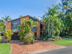 35 Macaranga St, Algester QLD 4115, Australia