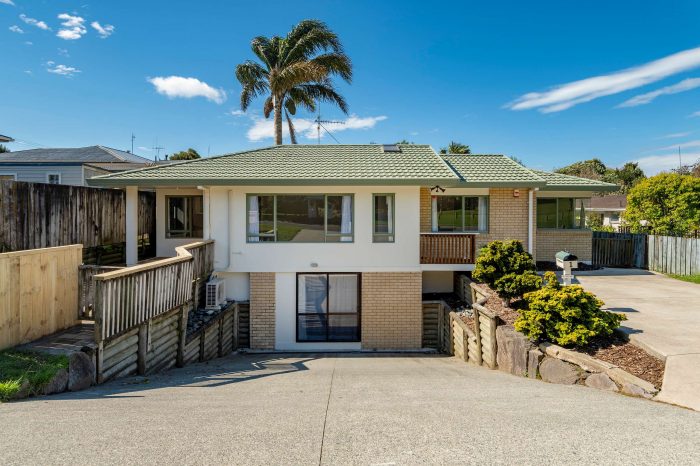 1 Harrier Street, Parkvale, Tauranga, Bay Of Plenty, 3112, New Zealand