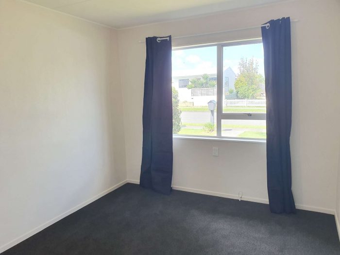 17 Tingey Avenue, Feilding, Manawatu, Manawatu / Wanganui, 4702, New Zealand