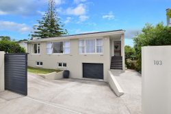 103 Sunrise Avenue, Mairangi Bay, North Shore City, Auckland, 0630, New Zealand