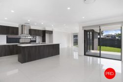 84 Willowdale Dr, Denham Court NSW 2565, Australia