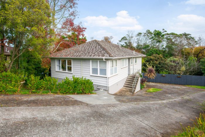 16 Amsterdam Place, Avondale, Auckland, 0600, New Zealand