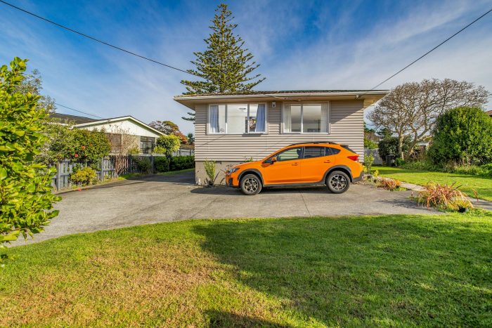 47 Boakes Road, Mount Wellington, Auckland, 1060, New Zealand