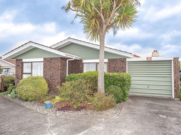 10 Antrim Place, Springvale, Whanganui, Manawatu / Whanganui, 4501, New Zealand