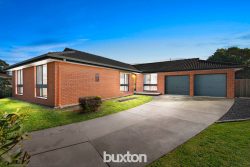 6 Charolais Ct, Belmont VIC 3216, Australia