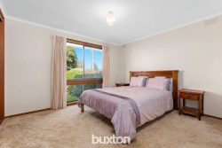 6 Charolais Ct, Belmont VIC 3216, Australia