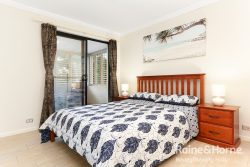 31A Basil Rd, Bexley NSW 2207, Australia