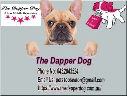 Pet Clippers Adelaide