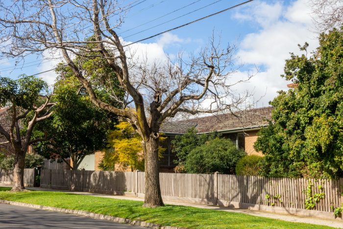 6 Ranfurlie Cres, Glen Iris VIC 3146, Australia