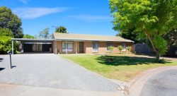 5 Braunack Ave, Tanunda SA 5352, Australia