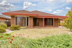 558 Brown St, Lavington NSW 2641, Australia