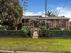 86 Blaxland Ave, Singleton Heights NSW 2330, Australia