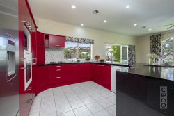 10 Amber Place, Waimauku, Rodney, Auckland, 0812, New Zealand