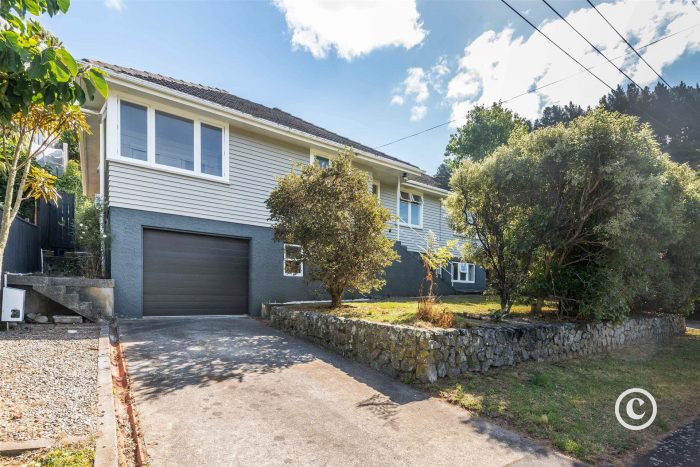 53 Kiwi Crescent, Tawa, Wellington, 5028, New Zealand