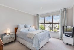 22 Purchas Hill Drive, Stonefields, Auckland, 1072, New Zealand