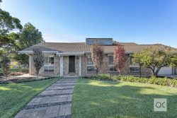 1 Coalport Terrace, Modbury Heights SA 5092, Australia