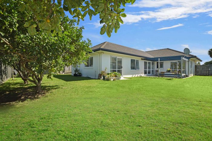 39 Francevic Avenue, Mount Maunganui, Tauranga, Bay Of Plenty, 3116, New Zealand