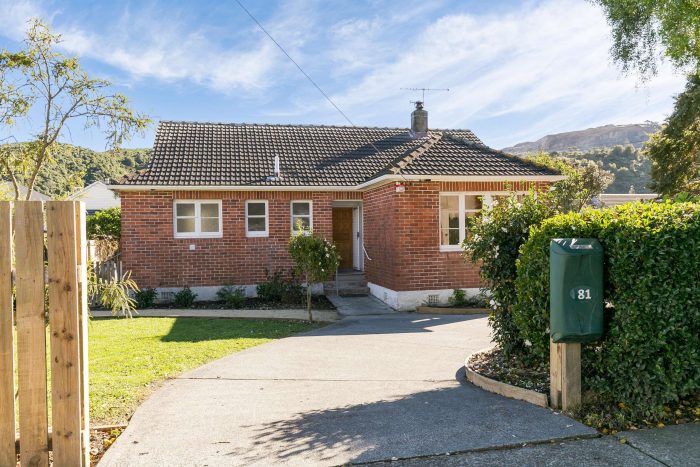 81 Molesworth Street, Taita, Lower Hutt, Wellington, 5011, New Zealand