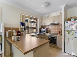 64 Clove St, Griffin QLD 4503, Australia