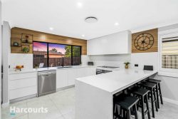 20 McCartney Cres, St Clair NSW 2759, Australia