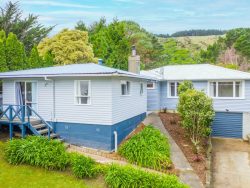 20 Leinster Avenue, Raumati South, Kapiti Coast, Wellington, 5032, New Zealand