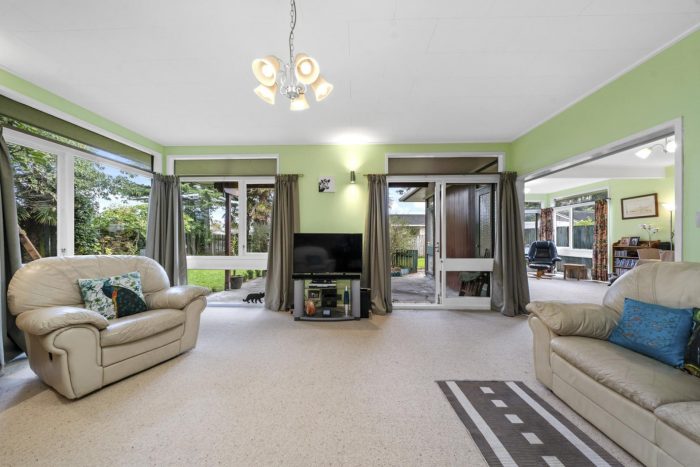 41 Marlborough Street, Levin, Horowhenua, Manawatu / Whanganui, 5510, New Zealand