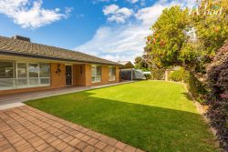 558 Schneider St, Lavington NSW 2641, Australia