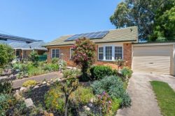 10 Adele Ave,Paradise SA 5075, Australia