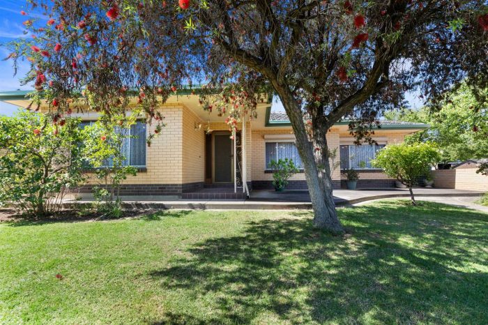 20 Ascot Ave, Vale Park SA 5081, Australia