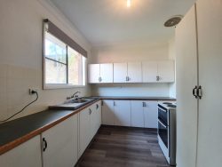 15 Carl Ln, Muswellbrook NSW 2333, Australia