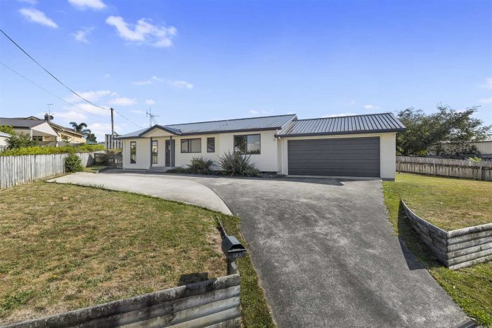 55A Allen Street, Morrinsville, Matamata-Piako, Waikato, 3300, New Zealand