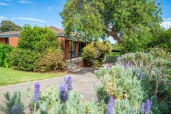 517 Hill St, West Albury NSW 2640, Australia