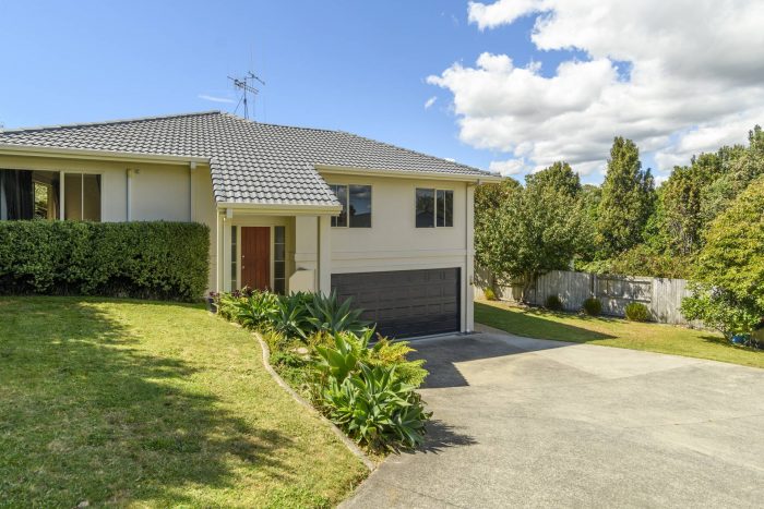 21 Wakefield Drive, Bethlehem, Tauranga, Bay Of Plenty, 3110, New Zealand