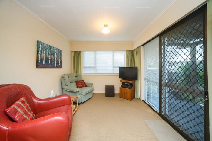 98 Fitzroy Street, Terrace End, Palmerston North, Manawatu / Whanganui, 4410, New Zealand