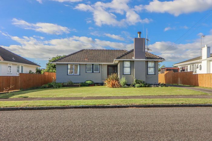 47 Power Street, Levin, Horowhenua, Manawatu / Whanganui, 5510, New Zealand