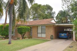 29 Blueberry Rd, Moree NSW 2400, Australia