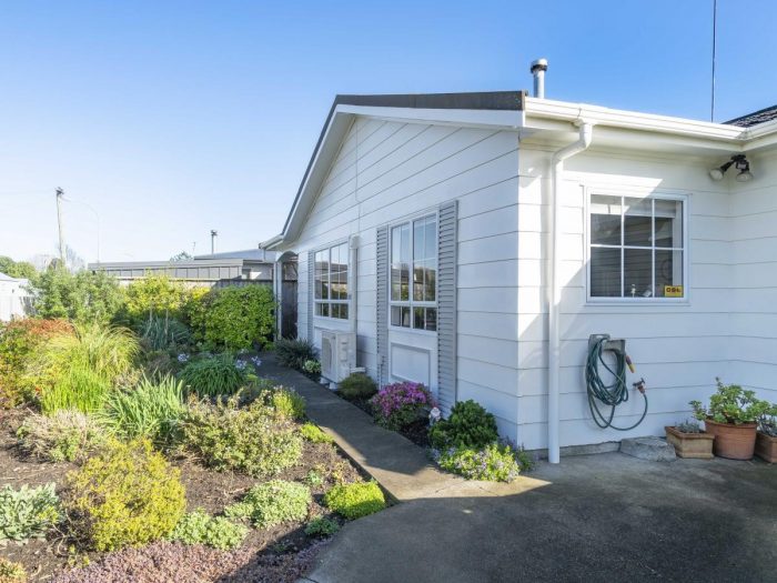 58 Sheehan Street, Whataupoko, Gisborne, 4010, New Zealand