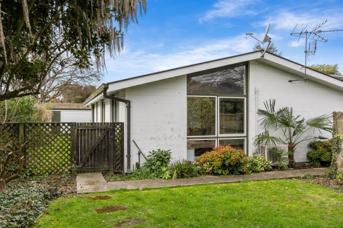 29D Hamilton Avenue, Ilam, Christchurch City, Canterbury, 8041, New Zealand