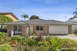 48 Heron Rd, Catalina NSW 2536, Australia