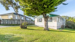 15 Passive Grove, Ascot Park, Porirua, Wellington, 5024, New Zealand