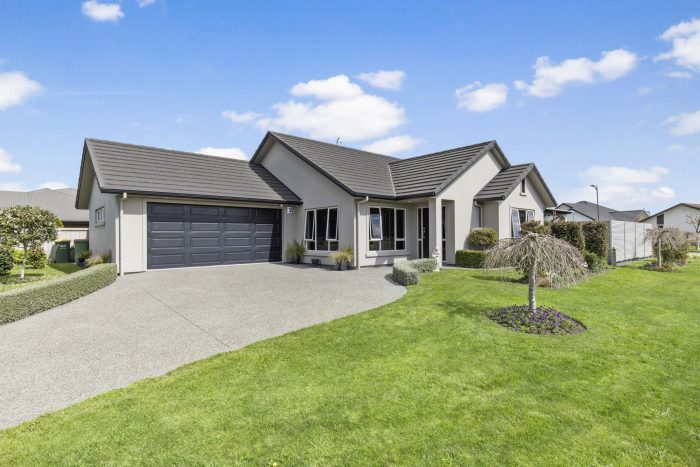 20 Bentley Rise, Flagstaff, Hamilton, Waikato, 3210, New Zealand